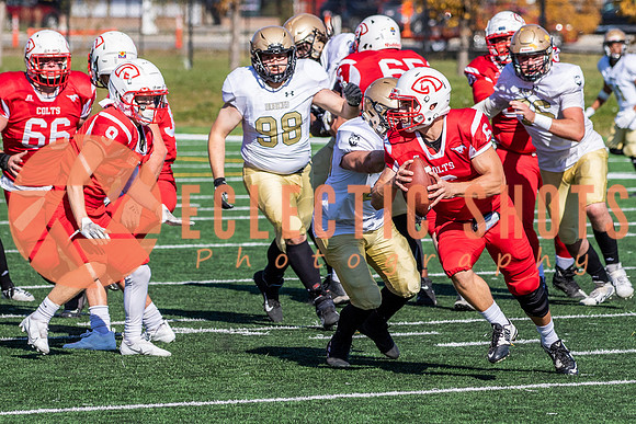 CalgaryColts-1378