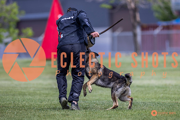 2025-K9Force-MayExams-7785