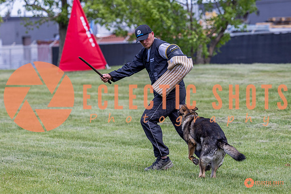 2025-K9Force-MayExams-6936