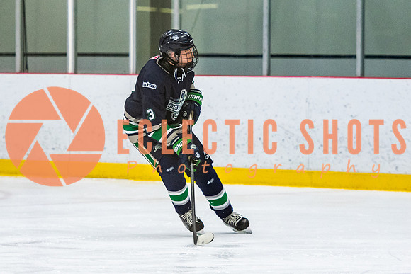 RMC2021-11-12-LloydBobcats-FVT-Birds-6152