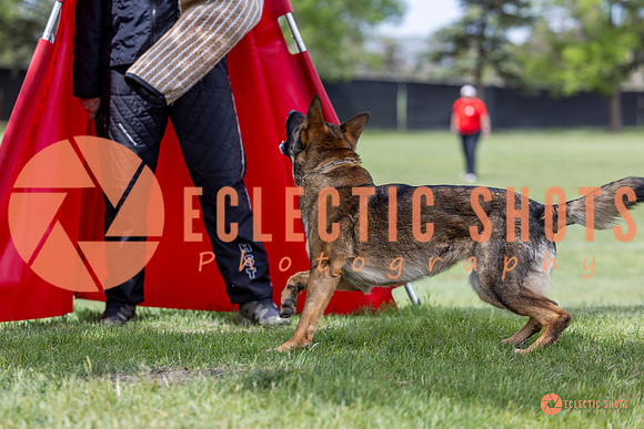 2025-K9Force-MayExams-6308