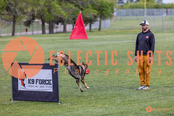 2025-K9Force-MayExams-5898