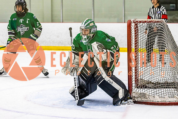 2022.11.11CalBisons-FVTBirds-3900