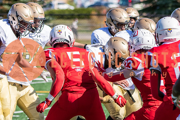 CalgaryColts-0656