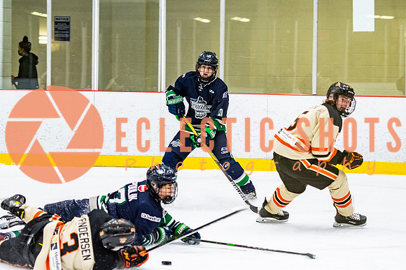 RMC2021-11-12-LloydBobcats-FVT-Birds-6169