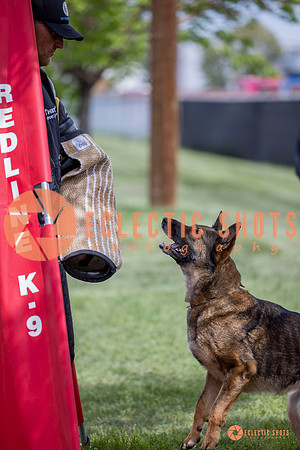 2025-K9Force-MayExams-6334