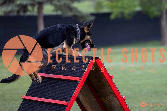 2025-K9Force-MayExams-6205