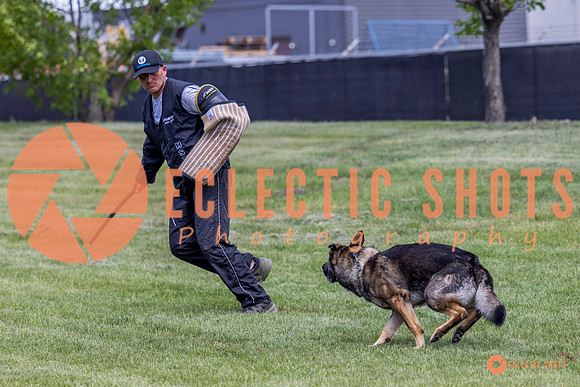 2025-K9Force-MayExams-6929