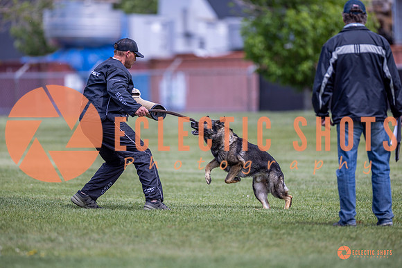 2025-K9Force-MayExams-7752