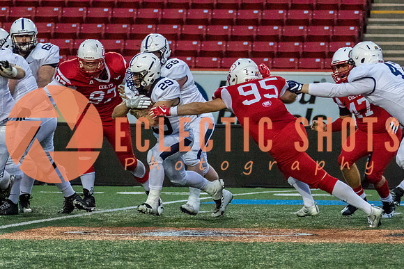 CalgaryColts2018-1552