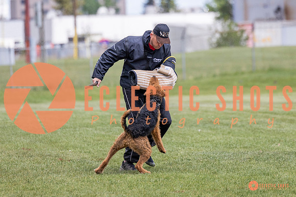 2025-K9Force-MayExams-7857