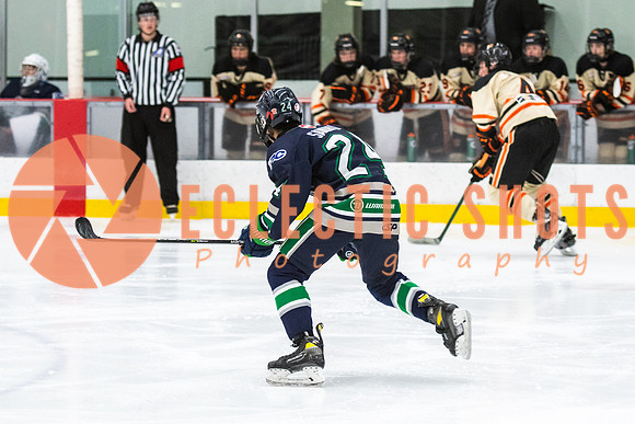 RMC2021-11-12-LloydBobcats-FVT-Birds-6115