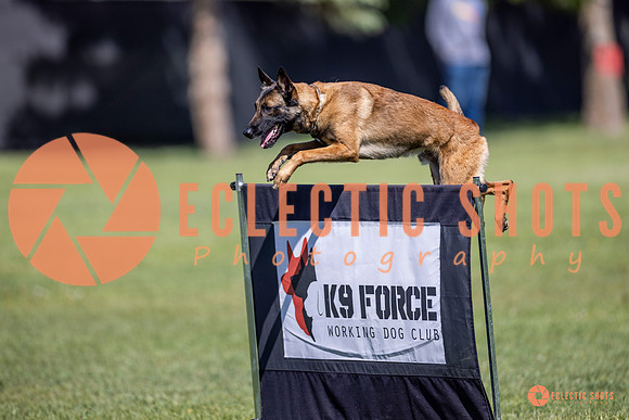 2025-K9Force-MayExams-8213