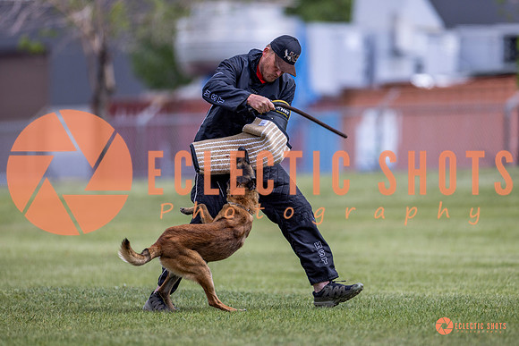 2025-K9Force-MayExams-8570