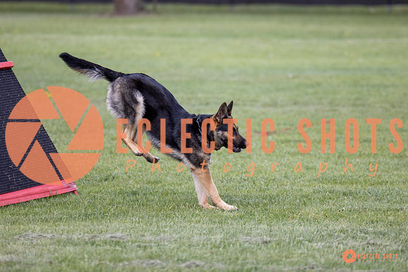 2025-K9Force-MayExams-5773