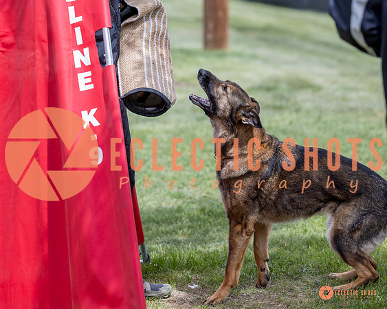 2025-K9Force-MayExams-6347