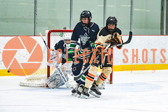 RMC2021-11-12-LloydBobcats-FVT-Birds-5977