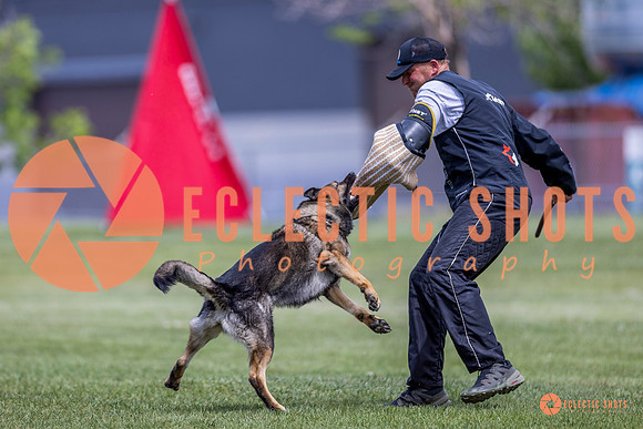 2025-K9Force-MayExams-7758