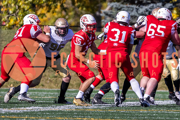 CalgaryColts-9788