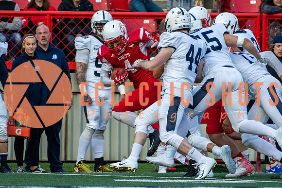 CalgaryColts2018-1035