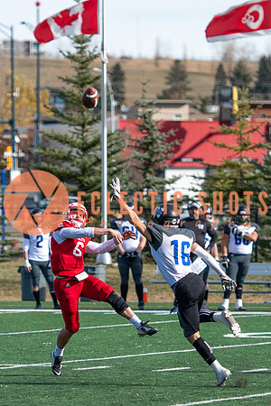 CalgaryColts2021-1411
