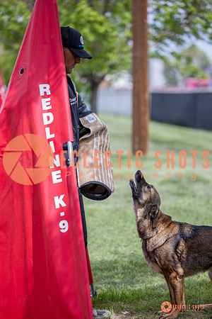 2025-K9Force-MayExams-6329