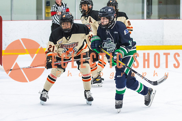 RMC2021-11-12-LloydBobcats-FVT-Birds-6098