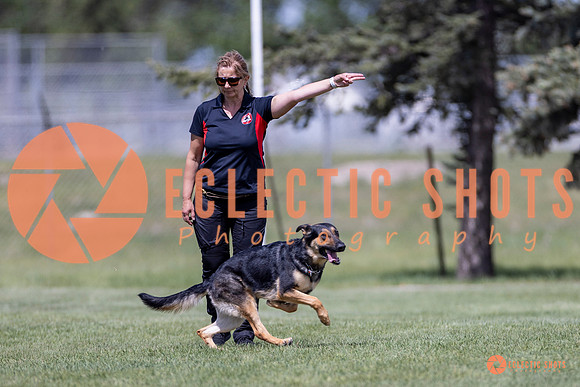 2025-K9Force-MayExams-8002