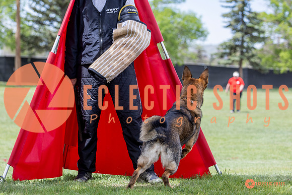 2025-K9Force-MayExams-6326