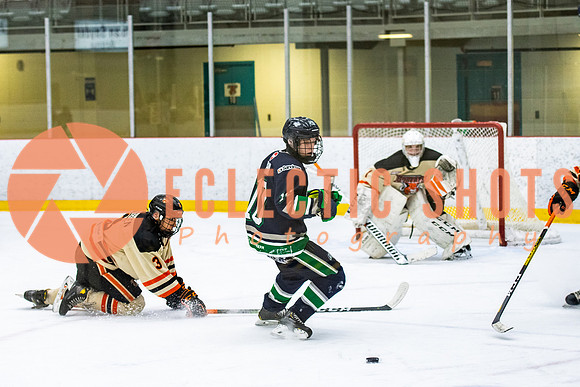 RMC2021-11-12-LloydBobcats-FVT-Birds-5993