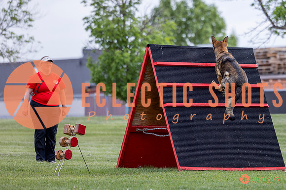 2025-K9Force-MayExams-5518