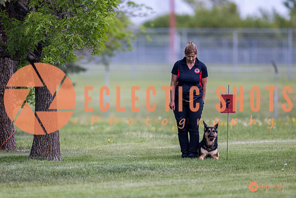 2025-K9Force-MayExams-7311