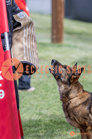 2025-K9Force-MayExams-6339
