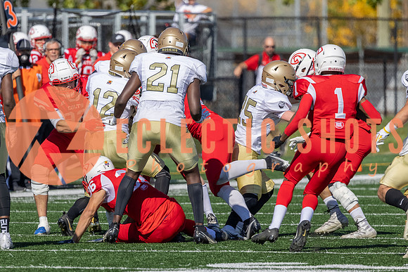 CalgaryColts-9479