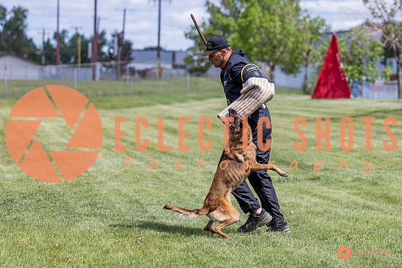 2025-K9Force-MayExams-7690