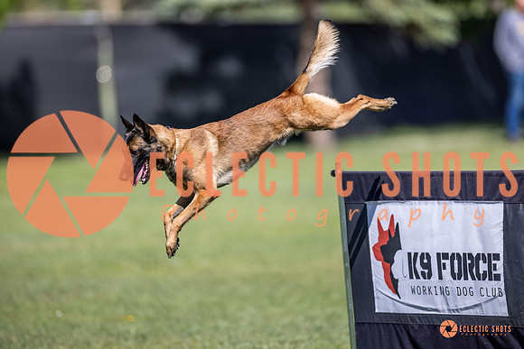 2025-K9Force-MayExams-8218