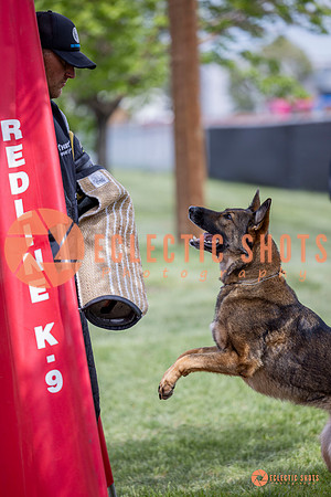 2025-K9Force-MayExams-6338