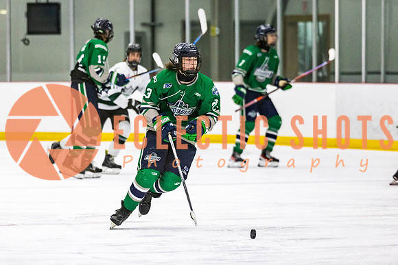 2022.11.12ShParkFlyers-FVTBirds-6978