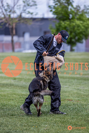 2025-K9Force-MayExams-6991