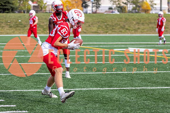 CalgaryColts-9003