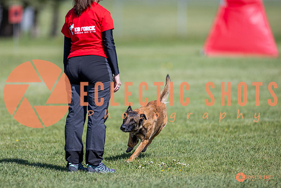 2025-K9Force-MayExams-8224