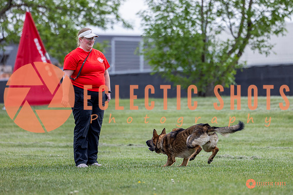 2025-K9Force-MayExams-5482