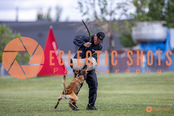 2025-K9Force-MayExams-8554