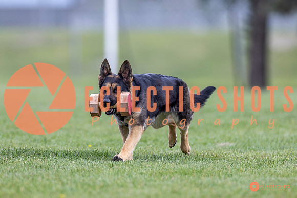 2025-K9Force-MayExams-6335
