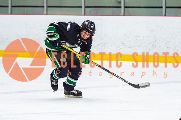 RMC2021-11-12-LloydBobcats-FVT-Birds-5983