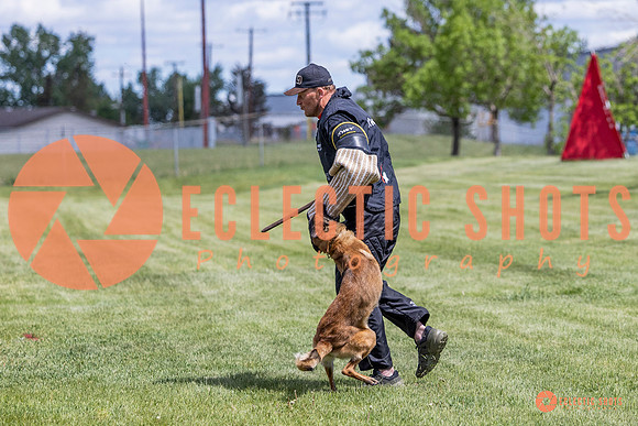 2025-K9Force-MayExams-7694