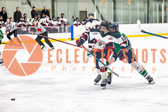 2022.11.11CalBisons-FVTBirds-4224