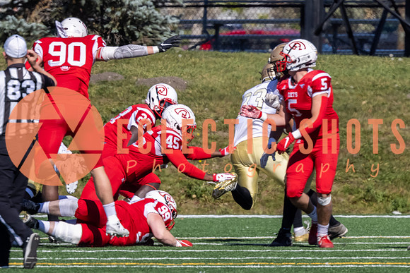 CalgaryColts-9553
