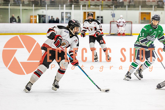 2022.11.11CalBisons-FVTBirds-4125