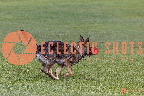 2025-K9Force-MayExams-5865